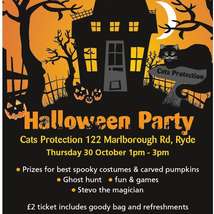 Cat protection hallloween party