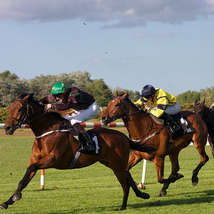 Horse racing by leith