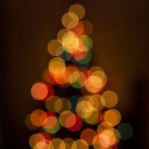 Christmas tree blurr dannynorodo